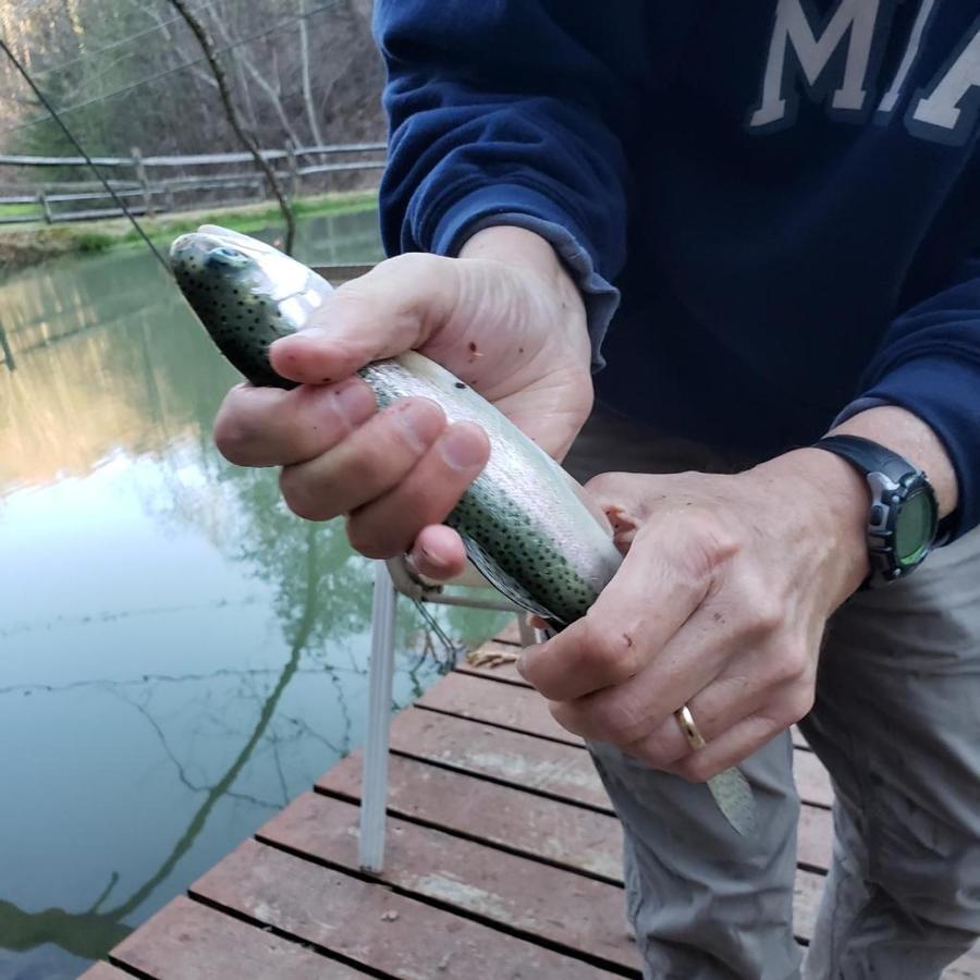 The Fishing Hole Cabin - Sage Vacations แกตลิงเบิร์ก ภายนอก รูปภาพ