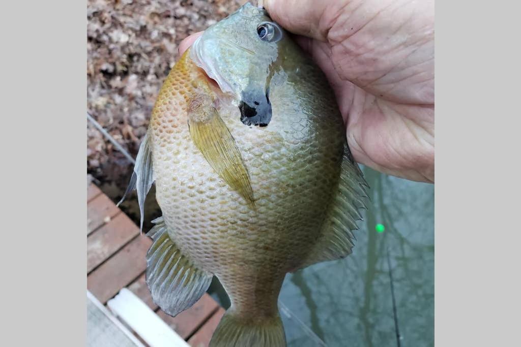 The Fishing Hole Cabin - Sage Vacations แกตลิงเบิร์ก ภายนอก รูปภาพ