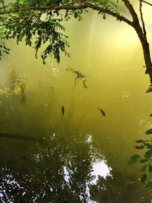 The Fishing Hole Cabin - Sage Vacations แกตลิงเบิร์ก ภายนอก รูปภาพ